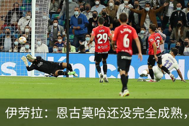 伊劳拉：恩古莫哈还没完全成熟，他还能继续吸收补充新的技能