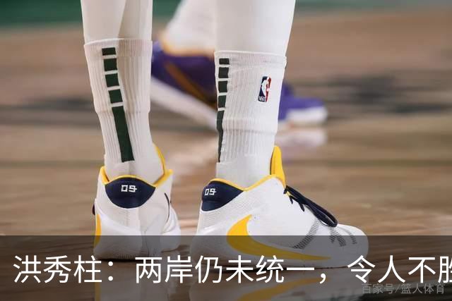 洪秀柱：两岸仍未统一，令人不胜唏嘘