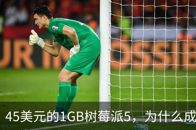 45美元的1GB树莓派5，为什么成了新手唯一该买的板子